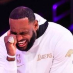 LeBron James Loves Hilarious Video Breaking Down How LeBron Would Respond To James Harden Trade