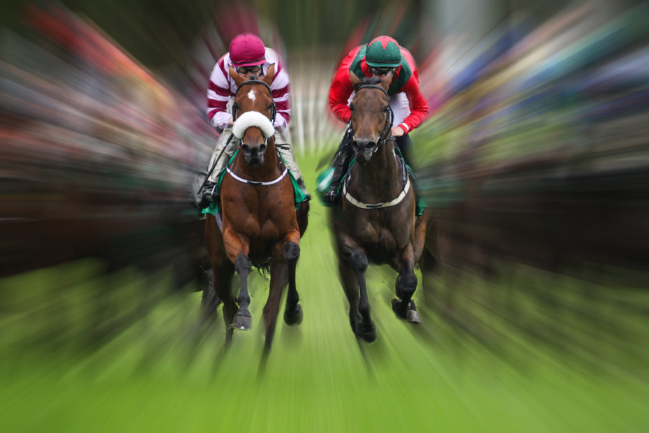 The Top 25 Fastest Racehorses In 2021