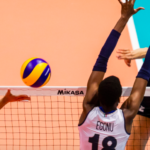 20 Of The Best Volleyball Players