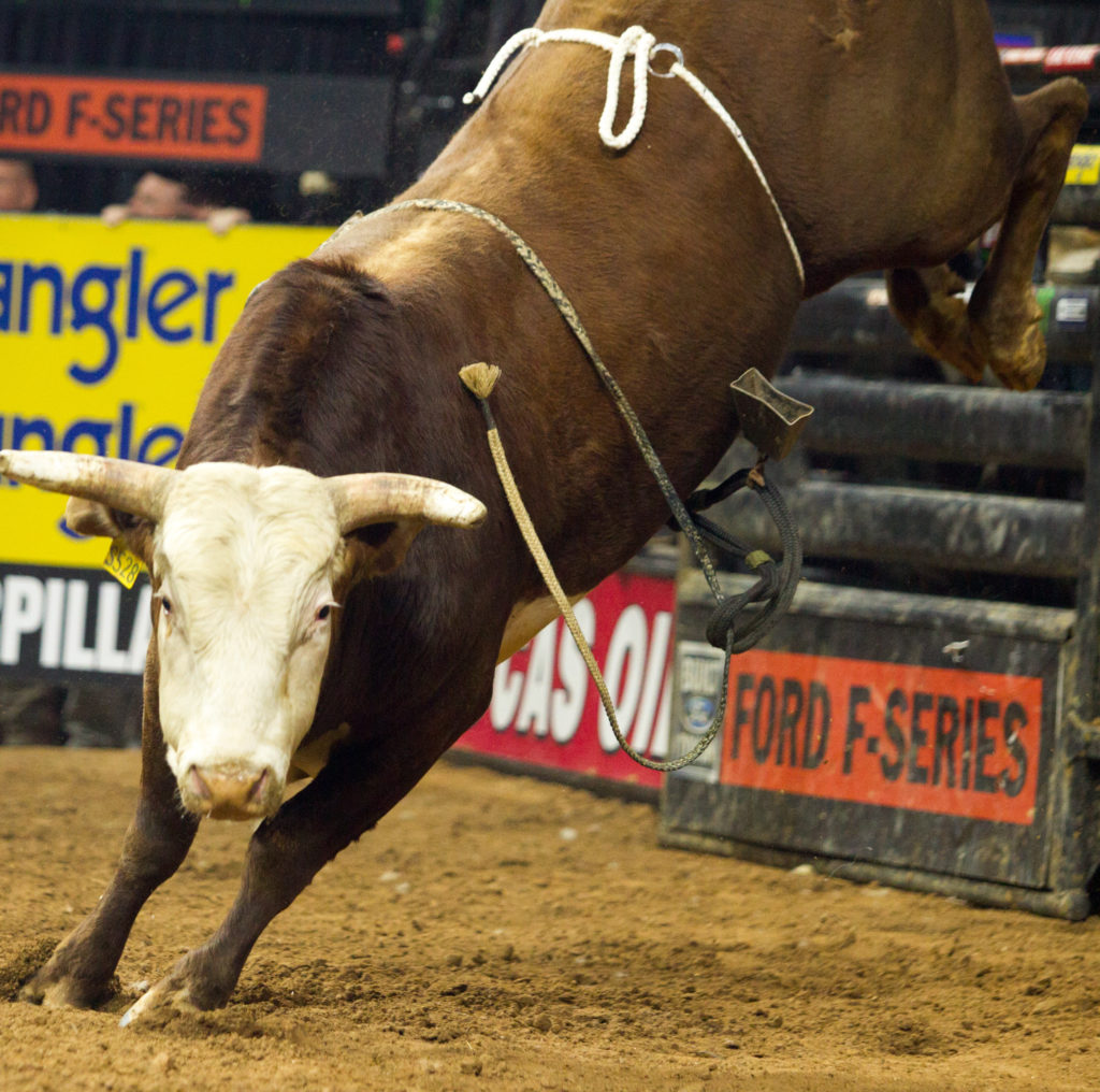 20 Of The Best Bull Riders In 'Ring Of Honor' 