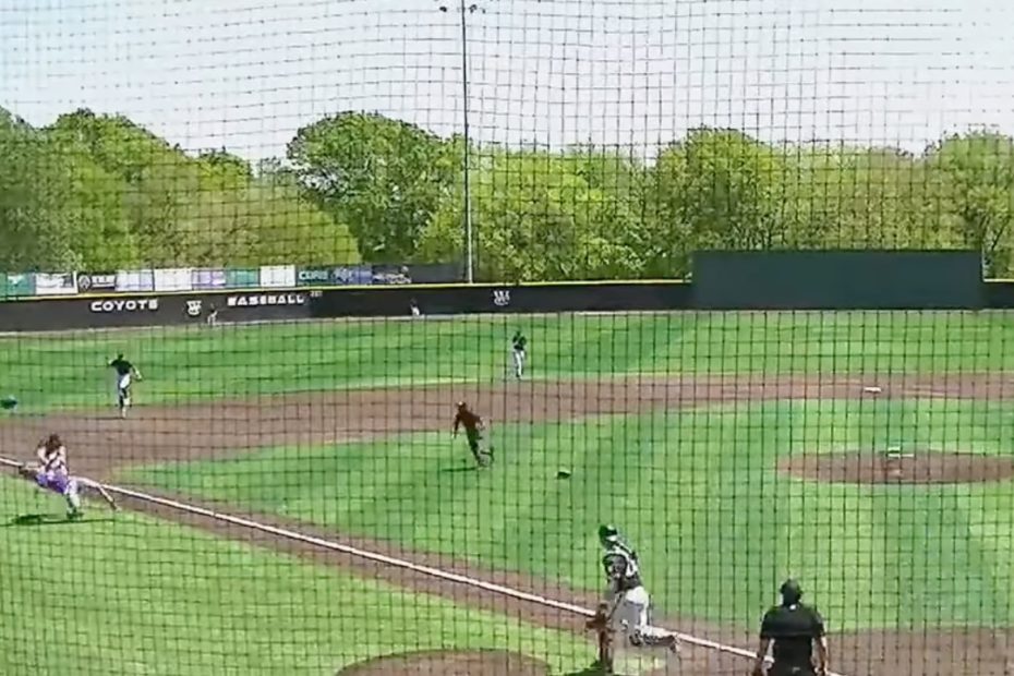 Physical Assault Takes Place During College Baseball Game