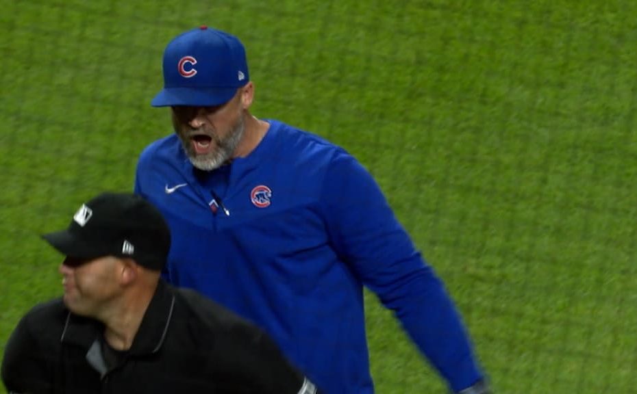 David Ross, 45, Ejected From Game After Explosive Meltdown on Field