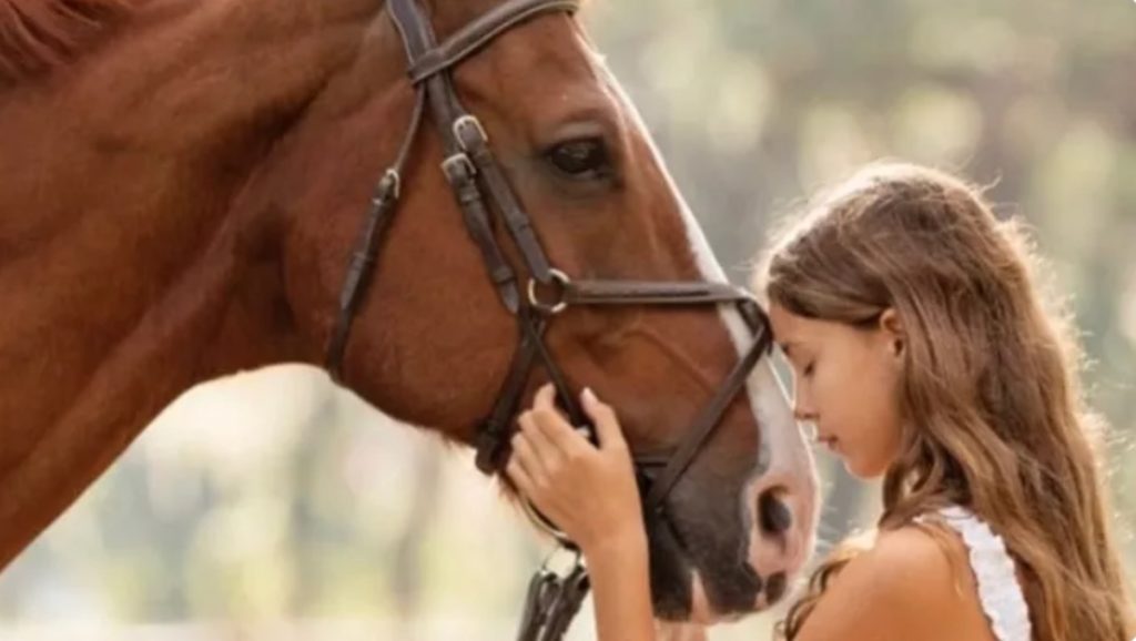 Talented Horseback Rider Hannah Serfass Dead at 15 Following Equestrian Competition – Floridian equestrian Hannah Serfass tragically passed away after a horse fell on her during a competition on Sunday. She was only 15.